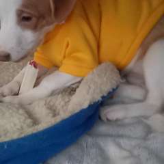 Видео отзыва 10668003