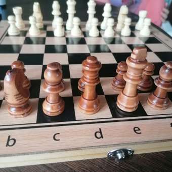 Настольная игра Рыжий кот Шахматы: отзыв пользователя Детский Мир