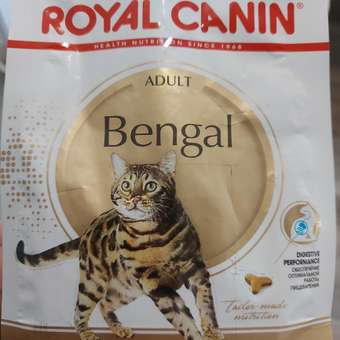 Корм сухой для кошек ROYAL CANIN 400г Бенгальских: отзыв пользователя. Зоомагазин Зоозавр