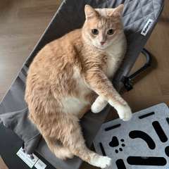 Фото отзыва 11097406