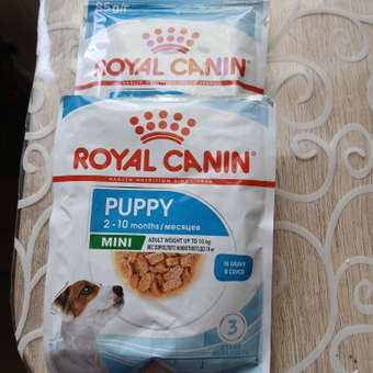 Корм для щенков Royal Canin Mini Puppy мелких пород до 10 месяцев кусочки в соусе пауч 85г: отзыв пользователя. Зоомагазин Зоозавр