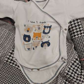 Боди Веселый малыш: отзыв пользователя Детский Мир