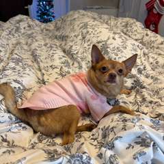 Фото отзыва 10851576