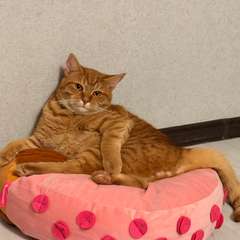 Фото отзыва 10901920