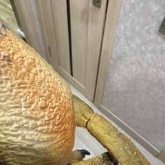 Фото отзыва 10939185