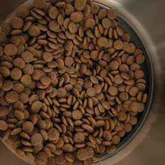 Фото отзыва 10965185