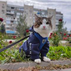 Фото отзыва 10904111