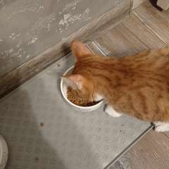 Фото отзыва 10904542