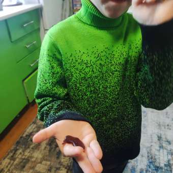 Свитер PlayToday: отзыв пользователя Детский Мир