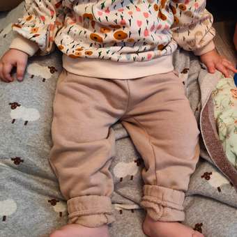 Свитшот Baby Gо: отзыв пользователя Детский Мир