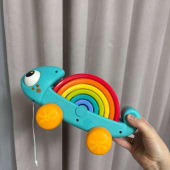 Игрушка BabyGo сортер Хамелеон: отзыв пользователя ДетМир