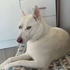 Фото отзыва 10643411