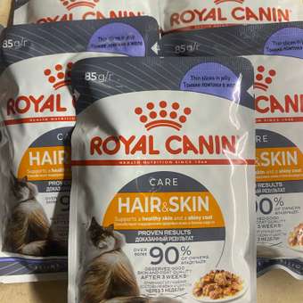 Корм для кошек Royal Canin 85г Hair and skin для поддержания здоровья кожи и красоты шерсти тонкие ломтики в желе: отзыв пользователя. Зоомагазин Зоозавр