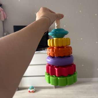 Игрушка ZEBRA пирамидка: отзыв пользователя ДетМир