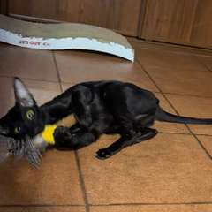 Фото отзыва 11052334