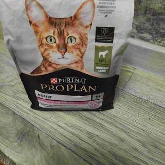 Корм сухой для кошек PRO PLAN 1.5кг с ягненком с чувствительным пищеварением: отзыв пользователя. Зоомагазин Зоозавр