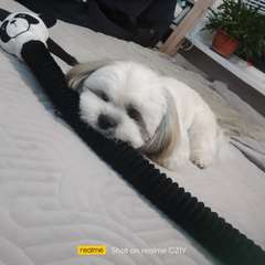 Фото отзыва 10760993