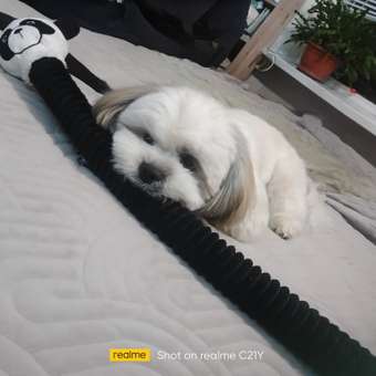 Игрушка для собак Barbaks Панда-длинношей мягкая с пищалкой шуршит 64*10см: отзыв пользователя. Зоомагазин Зоозавр