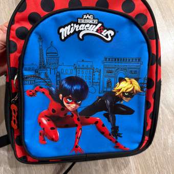 Рюкзак дошкольный Erhaft Леди Баг: отзыв пользователя Детский Мир