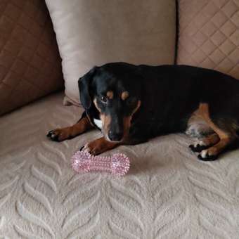 Игрушка для собак Barbaks Массажная кость Кругляш Розовая 15.5см: отзыв пользователя. Зоомагазин Зоозавр