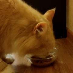 Видео отзыва 10958503