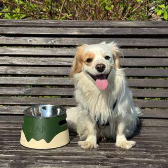 Корм для собак ROYAL CANIN Ньютрид Эдалт Смол Догз 3.5кг: отзыв пользователя. Зоомагазин Зоозавр