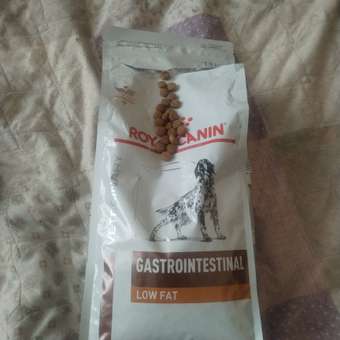 Корм для собак ROYAL CANIN Gastro Intestinal Low Fat LF22 при нарушении пищеварения с ограниченным содержанием жиров 1.5кг: отзыв пользователя. Зоомагазин Зоозавр