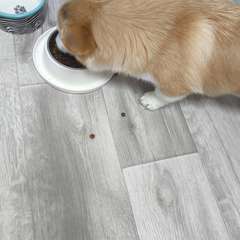 Фото отзыва 10962655