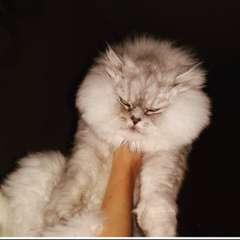 Фото отзыва 11010636