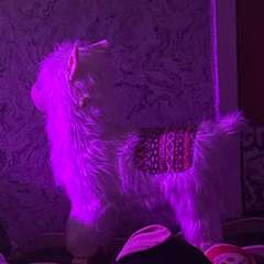 Фото отзыва 10848749