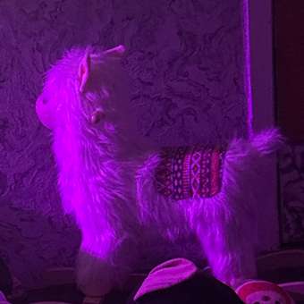 Качалка BabyGo Белая лама лошадка: отзыв пользователя ДетМир