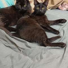 Фото отзыва 10760557