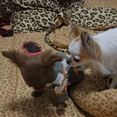 Видео отзыва 11156719