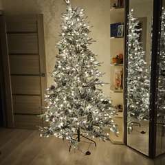 Фото отзыва 10872665