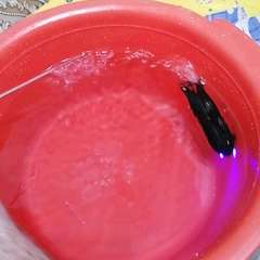 Видео отзыва 10787595