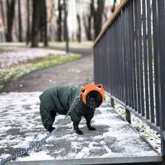 Фото отзыва 10693601