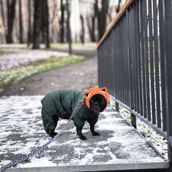Шапка-шлем для собак и кошек Зоозавр: отзыв пользователя. Зоомагазин Зоозавр
