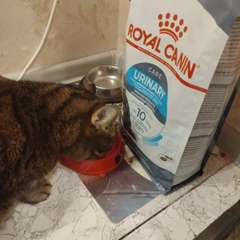 Фото отзыва 10718951