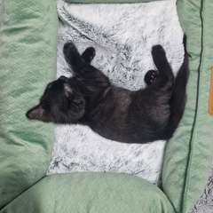 Фото отзыва 10779972