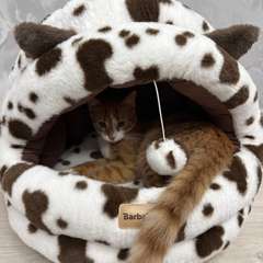 Фото отзыва 10945048