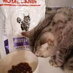 Фото отзыва 10725492