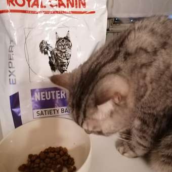 Корм для кошек ROYAL CANIN Neutered Satiety Balance стерилизованных 3.5кг: отзыв пользователя. Зоомагазин Зоозавр