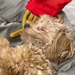 Фото отзыва 11005590