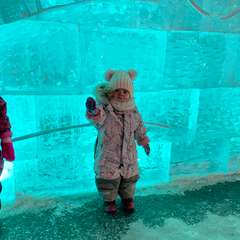 Фото отзыва 10955771