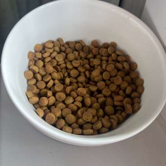 Корм для кошек ROYAL CANIN Veterinary Diet Gastrointestinal Moderate Calorie GIM 35 Feline при расстройствах пищеварения 2кг: отзыв пользователя. Зоомагазин Зоозавр