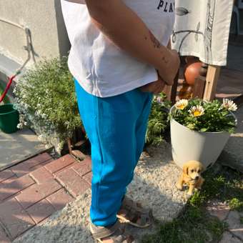 Брюки GREATS' Line: отзыв пользователя Детский Мир
