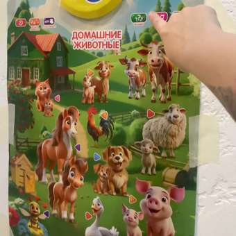 Игрушка УМка планшет Домашние животные: отзыв пользователя Детский Мир