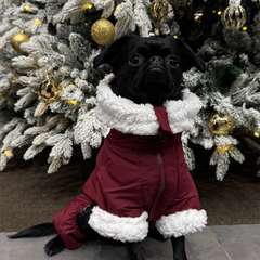 Фото отзыва 10948168