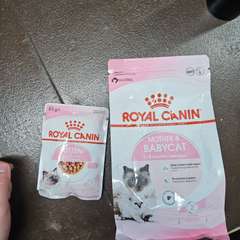 Фото отзыва 10516063