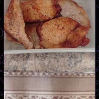 Аэрогриль CENTEK CT-3101: отзыв пользователя Детский Мир